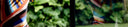 <p>Brasil em movimento</p>